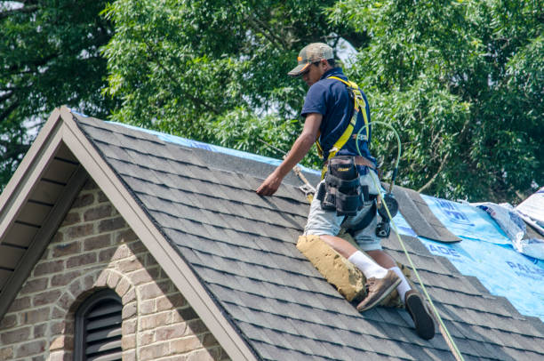 Best Storm Damage Roof Repair  in Greensboro, MD